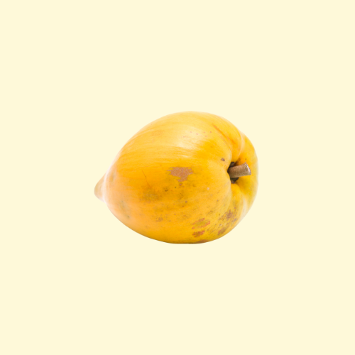 Canistel / per pound (lb)