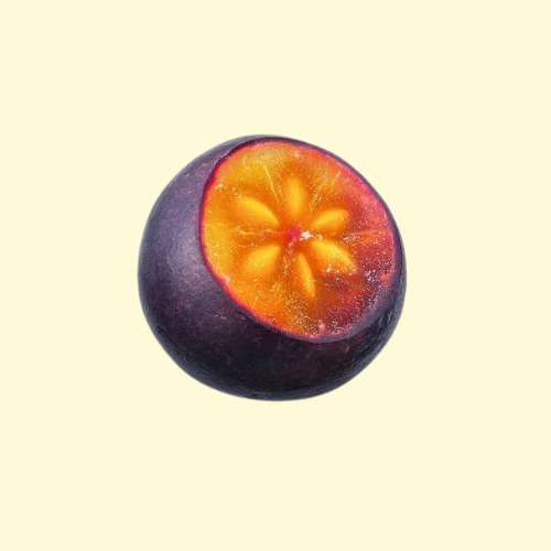 Governors Plum / per pound (lb)