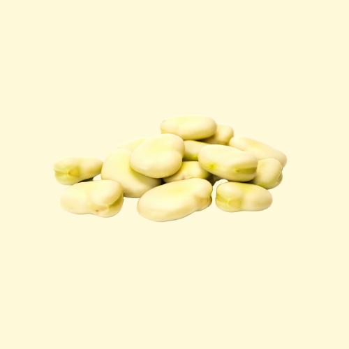 Dried Broad Beans / per pound (lb)