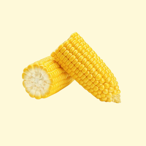 Corn / per dozen (doz.)