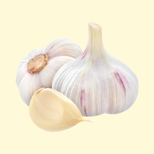 Garlic / per sleeve