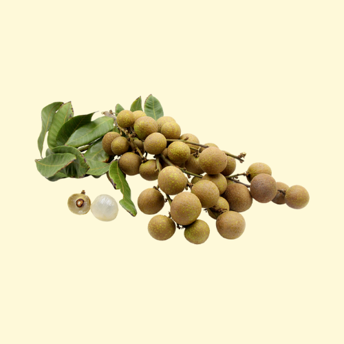 Fuji Longan / per dozen (doz.)