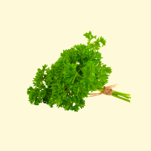 Parsley / per bundle (bun.)