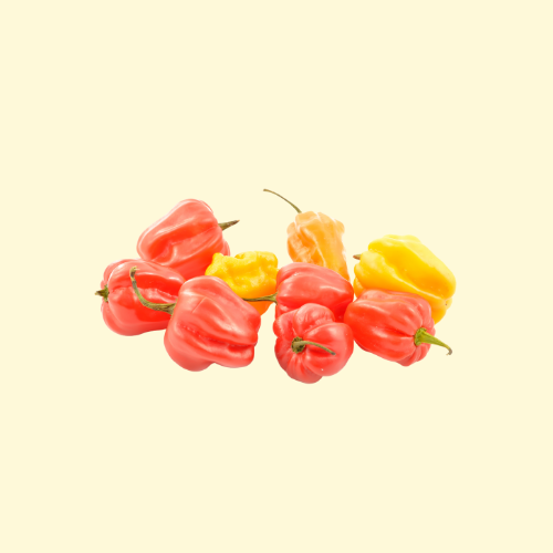 Scotch Bonnet Pepper / per pound (lb)