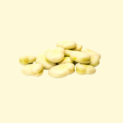 Dried Broad Beans  / per pound (lb)